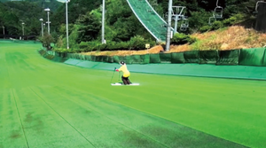 2022 Flyon Con Lăn Trượt Băng Trắng Cỏ Nhân Tạo Thảm Trượt Tuyết Cỏ Giá - Product Image 5