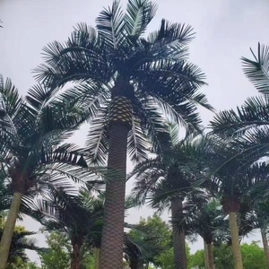 Árbol de Dátil Canario Artificial de Alta Calidad, Decoración de Jardín con Algas Marinas, Árboles Artificiales, Suministros de Jardinería, Planta Artificial - Product Image 3