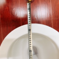 Ensemble WC monobloc en céramique à double chasse à gravité, réservoir dissimulé, installation P-Trap S-Trap, garantie 5 ans