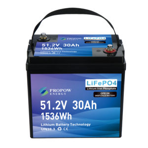 Batería de Litio para Carro de Golf de 48V Personalizada con Carcasa de ABS, 30Ah, 51.2V, 30ah - Product Image 2