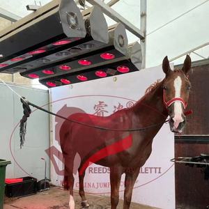 <span class=keywords><strong>Solarium</strong></span> de caballos para todas las estaciones con bombillas infrarrojas protectoras, ideal para clima frío, calor y cuidado de la salud - Product Image 2
