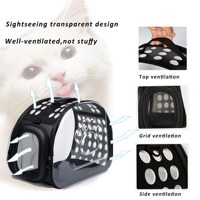 Vente en gros d'usine sac à dos de transport pour animaux de compagnie capsule spatiale conception de mousse transparente fermeture éclair portable en cuir PU EVA transportant des chats chiots