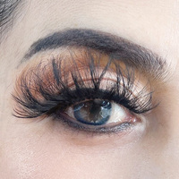 Faux-cils en vison 25mm, de qualité supérieure, nouveaux cils, vente en gros,