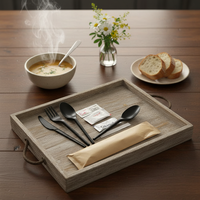 Ensemble de couverts compostables biodégradables CPLA personnalisés, 6,5 pouces, couteau, fourchette, cuillère légers et écologiques pour les restaurants
