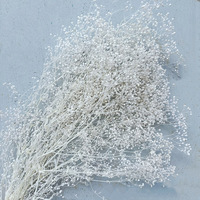 Bunga Gypsophila Kering dan Diawetkan Warna Cerah untuk Dekorasi Rumah, Harga Pabrik, Keunggulan Harga Natal