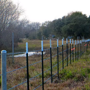 Arame Farpado <span class=keywords><strong>500</strong></span> m Alambre de púas 1,6mm Cerca 1,7 GI <span class=keywords><strong>Concertina</strong></span> Alambre de púas de 4 puntos 2 Línea de producción para alambre de púas de granja - Product Image 4