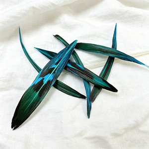 Plumes de paon irisées rigides de 3-7 cm – Pointes de plumes teintées bleu-vert coupées pour costumes, artisanat et chapellerie - Product Image 5