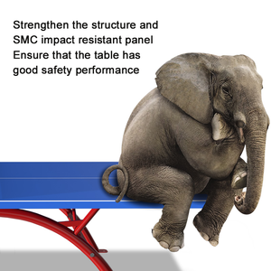 <span class=keywords><strong>Mesa</strong></span> de Tenis de <span class=keywords><strong>Mesa</strong></span> de Material Compuesto SMC para Interiores/Exteriores, Acabado con <span class=keywords><strong>Pintura</strong></span> Ecológica, Color Azul, Uso Deportivo, Dimensiones 2740x1525x760mm - Product Image 5