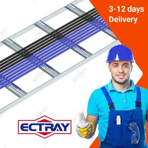 Cable Tray Ladder OEM ODM Perforated Different Design Hot Dipped Galvanized Steel Heavy Duty Cable Ladder Trays for Electrical