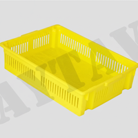 AYTAV Boîte à poussins 1 section, fond perforé, neuf, vente en gros, capacité 100 poussins, résistance à la température -5°C +80°C, matériau PP, longue durée