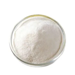 CAS 461-58-5 무료 샘플 99.5% Dicyandiamide 분말 Cas 분말, 백색 분말 dcda의 제일 가격