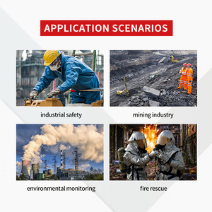 Détecteur de <span class=keywords><strong>gaz</strong></span> portable SEED-MG pour <span class=keywords><strong>gaz</strong></span> combustibles <span class=keywords><strong>et</strong></span> toxiques (ammoniac ozone hydrogène) avec protection IP67 <span class=keywords><strong>et</strong></span> alarme de rayonnement - Product Image 4