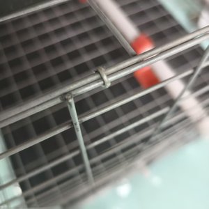 Cage à poules à 3 niveaux et 4 portes, prix bas, élevage avicole de 96 à 160 œufs avec des cages à batterie de type 4 niveaux au Nigéria - Product Image 4