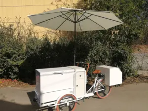 TUNE 3 Wheels Electric Truck Food Trailer Cart Bike Bicycle For Sale