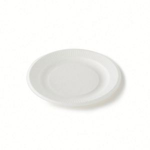 Assiette de fête en bagasse de canne à sucre compostable et biodégradable à 3 compartiments, 10 pouces, blanche - Product Image 2