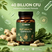 Probiotiques 40 Milliards UFC pour la Santé Intestinale, Capsules avec 6 Souches de Lactobacillus et Bifidobacterium, enrichies en Racine de Gingembre et Extrait de Réglisse