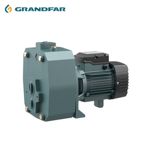 Pompe à eau haute pression Grandfar 1.5 1.1kw Jet 1''1.25''*1'' Corps en fonte, turbine en laiton, câblage en cuivre pour bâtiment GDPm 505 Turbine en laiton - Product Image 5