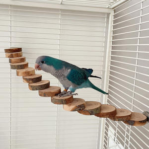 Plataforma Moderna Ecológica de Madera Maciza para Aves, Juguete de Escalera para Hámster, Escalera de Manzana para Loros, Marco de Escalada para Aves con Mordedor Molar - Product Image 4