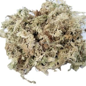 Заводская распродажа, низкая цена, сушеный Сфагновый Мох для горшечных цветов и культивирования суккулентов - Product Image 1