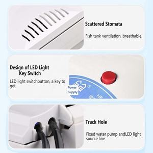 ชุดเริ่มต้นตู้<span class=keywords><strong>ปลา</strong></span>แก้วขนาด 2 แกลลอน เป็นมิตร<span class=keywords><strong>กับ</strong></span>สิ่งแวดล้อม พร้อมไฟ LED สีสันสดใส ทำความสะอาดตัวเองได้ เหมาะสำหรับเลี้ยงกุ้ง <span class=keywords><strong>ปลา</strong></span>กูปี้ แมงกะพรุน <span class=keywords><strong>ปลา</strong></span>ทอง <span class=keywords><strong>ปลา</strong></span>เบต้า ขนาดเล็ก - Product Image 5