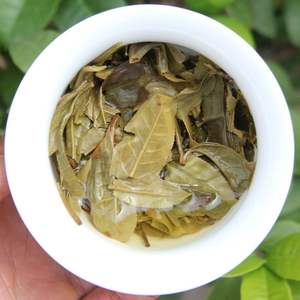 Té de Árbol Antiguo Bangdong <span class=keywords><strong>2023</strong></span>, Té Puerh Crudo en Mini Paquetes de 3g, Té con Alto Contenido de Aminoácidos - Product Image 6