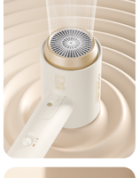 Ensemble Sèche-Cheveux 2025 Nouveau Moteur DC Sans Balais Ionique 1800W Usage Professionnel Qualité Hôtelière Conception Anti-Bruit Soin des Cheveux