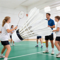 Volant de badminton d'entraînement en plumes de canard de qualité compétition, volant de badminton de tournoi haut de gamme, fibre de Taïwan, prix usine BWF, vente en gros