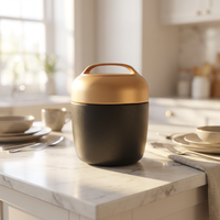 PINKAH Grande boîte alimentaire isotherme en acier inoxydable à double paroi de 980 ml avec cuillère et poignée