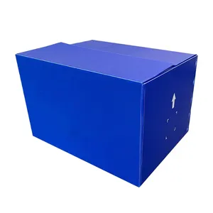 China SuPPlier Custom Packaging Folding Saffguard PP Corrugated Plastic ShiPPing Box