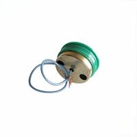 Haute Performance 28mm 175kHz Type transducteur à ultrasons DM175 pour la détection d'obstacles Capteurs à ultrasons à haute fréquence