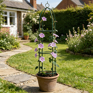 Obélisque de jardin en métal robuste <span class=keywords><strong>pour</strong></span> plantes grimpantes et fleurs, support pyramidal <span class=keywords><strong>pour</strong></span> plantes - Product Image 5