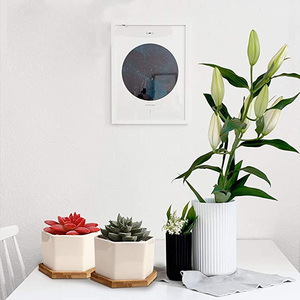 Dropship Chậu Cây Mọng Nước Bằng Gốm Hình Lục Giác 2.8 Inch Chậu Trồng Cây Mọng Nước Chậu Hoa Nhỏ Với Khay Tre Cho Xương Rồng - Product Image 5