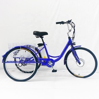Fournisseur de la Chine Tricycles motorisés Tricycles électriques Tricycle électrique Scooter Tricycle électrique pour adultes avec boîte de chargement