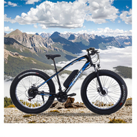 Vélo Électrique Grande Vente Pneu Large 1000W en Acier à Haute Teneur en Carbone Bici Elettrica VTT Électrique 29 Pouces pour Adulte