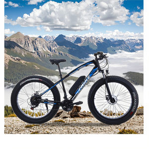 Hete Verkopende Elektrische Fiets 1000W Elektrische Vetband Fiets Hoge Koolstofstaal Bici Elettrica E Fiets 29 Inch Elektrische Fiets Volwassen - Product Image 5