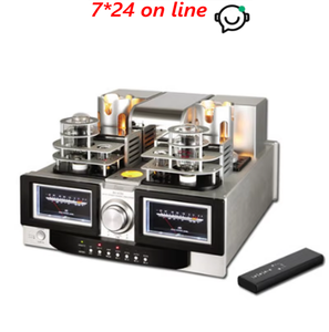 YAQIN MS-650L tube amplificateur HiFi combiné unipolaires haute puissance tube à vide 845X2/Union soviétique 6H8C * 2 / 2A3X2 - Product Image 1