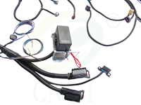 2006-2015 LS3 LS2 6.2L Harnais autonome 6L80E 6L90E 58X Drive par fil DBW LSX Vortec CNCH1073EH