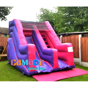 Gonfiabile scivolo a secco gonfiabile rimbalzo per bambini gonfiabile salto e scivolo bagnato asciutto - Product Image 5