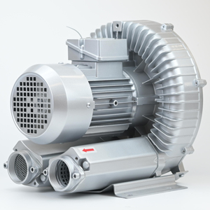 JQT 2GH 510-H16 1.5KW 3-fase elektrik Cnc pompa vakum <span class=keywords><strong>Blower</strong></span> 380V pompa vakum udara mesin <span class=keywords><strong>Blower</strong></span> sisi saluran peniup cincin - Product Image 5
