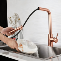 Grifo de Cocina Clásico Multifuncional de un Solo Tirador Extraíble, Grifo Cascada de Acero Inoxidable con Válvula Cerámica Individual