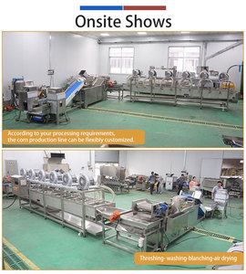 Machine Commerciale de Traitement du Maïs Frais : Égreneuse, Nettoyeuse, Blanchisseuse et Sécheuse à Air pour Maïs Doux - Product Image 2