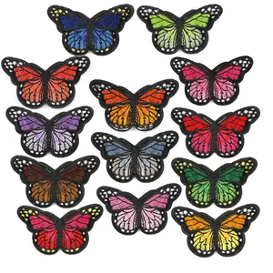 Vestido bordado de borboleta colorido, apliques de ferro em roupas pequenas patches