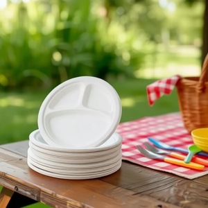 DAMAI Eco-friendly Biodegradable Sugarcane Bagasse 3 Compartment Divided 10 Inch <b>Plates</b> <b>Disposable</b> Round Paper <b>Plates</b> for Party - Product Image 1