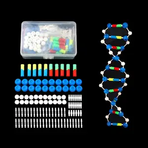 Ciência DNA modelo biológica educacional dupla hélice estrutura feito à mão DNA modelo molecular