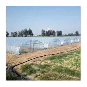 بيوت زراعية بلاستيكية مسبقة الصنع قابلة للطي للتحكم في المناخ الزراعي الصيني، هيكل بلاستيكي بأسعار تنافسية - Product Image 4