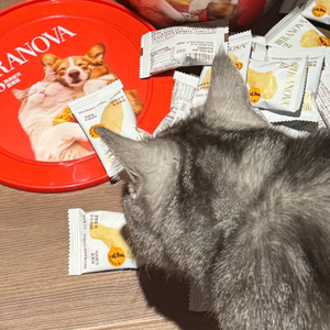 Recepción de Proteína Liofilizada para Gatos, Snack en Tubo para Mascotas - Product Image 6