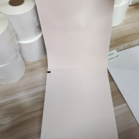Papier ECG personnalisé 110 mm x 20 m, rouleaux de papier thermique ECG 12 canaux pour enregistrement médical