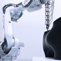 Brazo Robótico Manipulador en Oferta, Impresora 3D para Imprimir Cemento / Arena / Grava / Plástico, 1 Año de Garantía