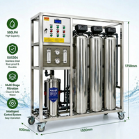500LPH Récipients sous pression Système de traitement de l'eau industriel Machine de filtre à eau RO avec pompes doseuses