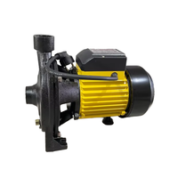 Pompe centrifuge à courant continu de pompe à eau solaire 110V 0.75HP pour l'irrigation agricole OEM personnalisable pour la grande surface terrestre